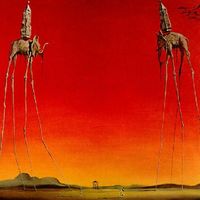 Salvador Dali De Olifanten